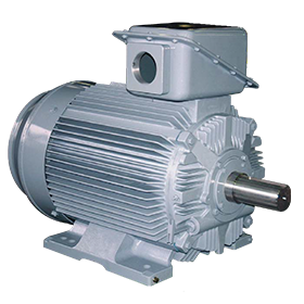TM21-FⅡ横形 シリーズ 中形かご形三相誘導モータ